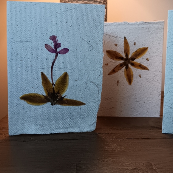 Unique and special cards, handmade and ecologically friendly ! - Picture 4 of 7